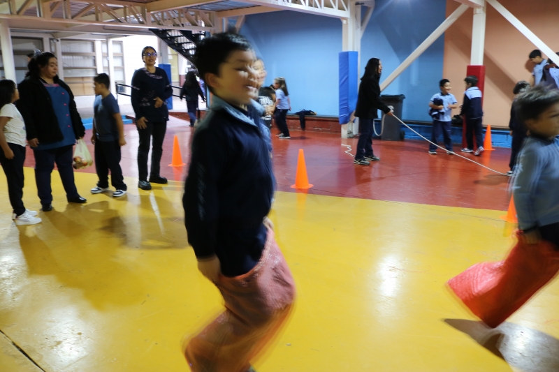 Día de la Actividad Física